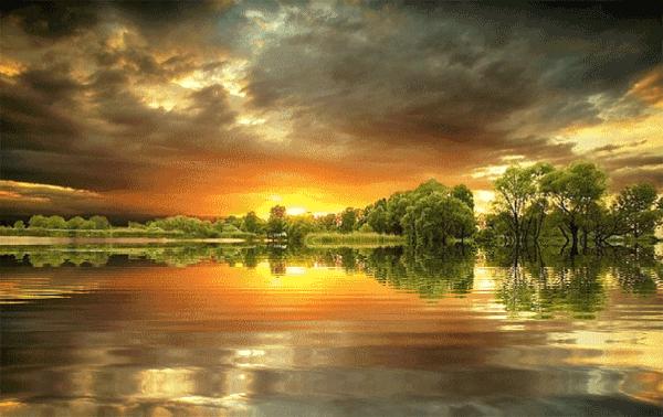 100张会动照片,30张罕见且迷人的图片