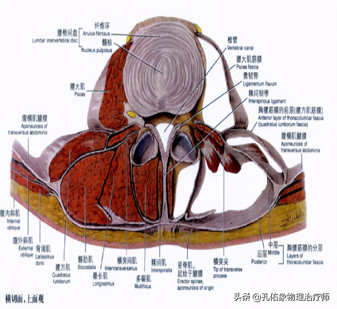 腰酸胀是什么预兆,腰酸疼警惕四种原因