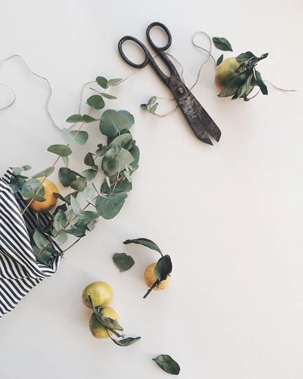 尤加利叶创意,尤加利叶怎么插花才好看