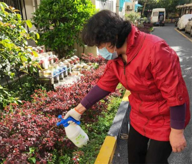花的枝干上长黑色虫子怎么治,花上长满粘粘的白虫子用什么妙招