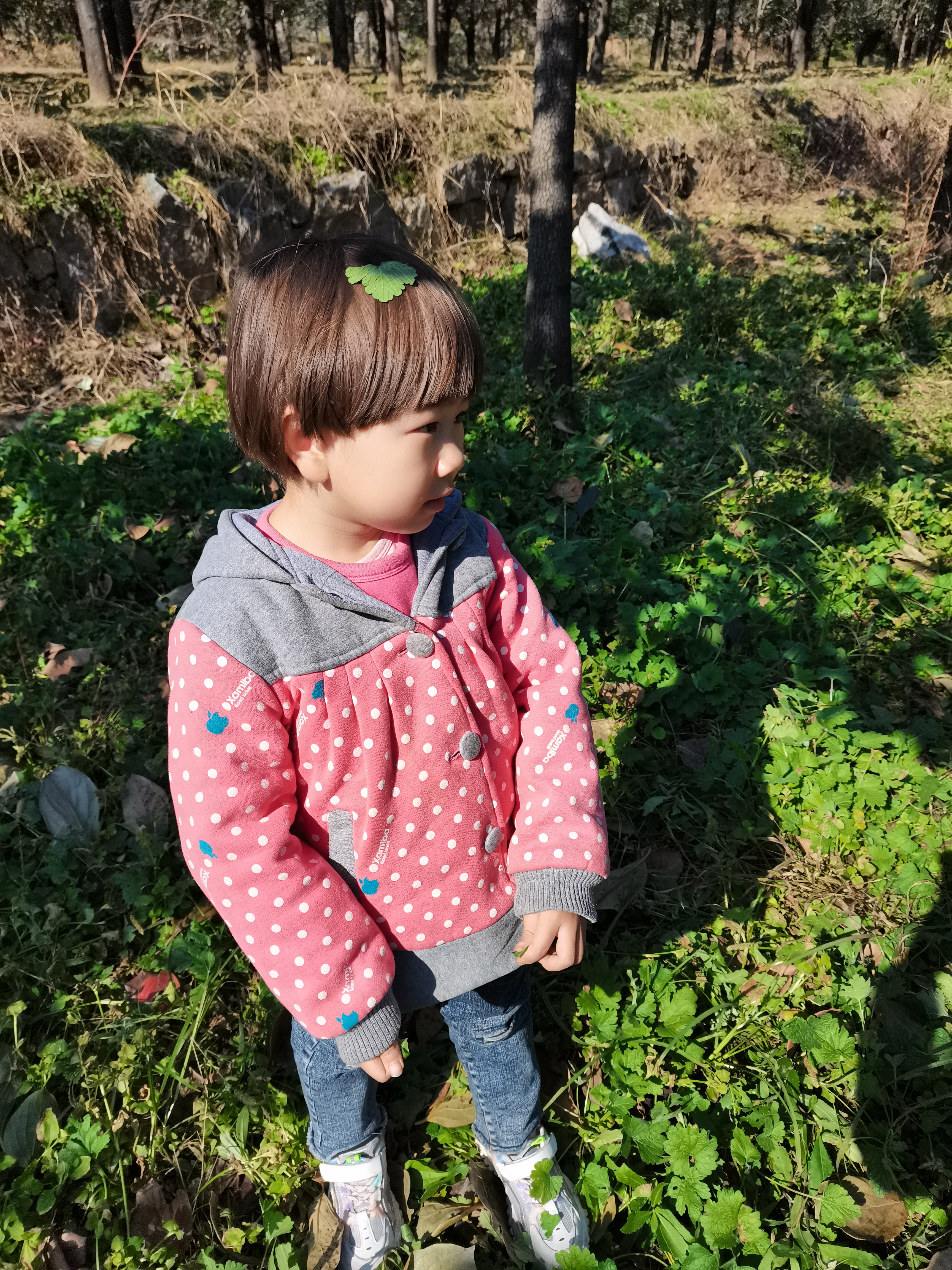 周末带孩子一起来体验采摘的乐趣,周末带孩子体验田园采摘的快乐