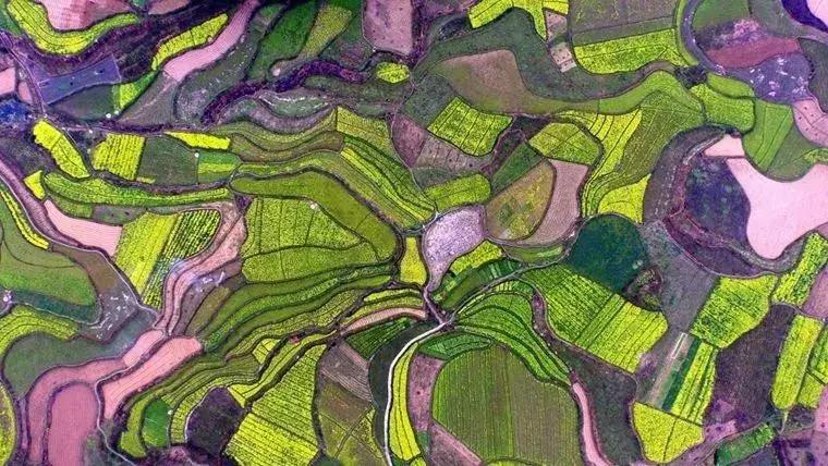 2019年国家先给钱后建设的4类农业产业项目,最多补贴1个亿