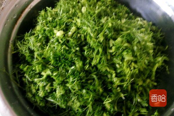 茴香肉饺子怎么调馅简单肉香,茴香肉怎么包饺子