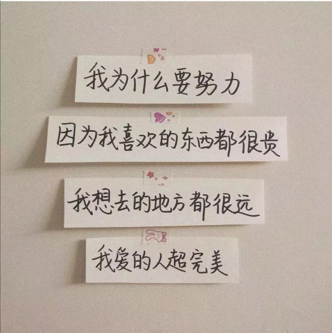 文字背景图：既然来了，那就磕个头再走吧