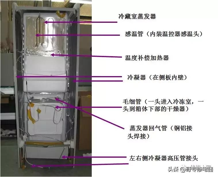 晶弘冰箱售后维修培训,晶弘冰箱的结构
