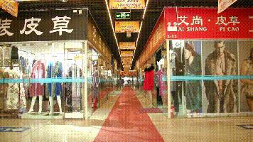 大姐买皮草,大姐花2600买了一件皮草