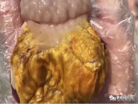 你家的鸡子在无意间感染霉菌,你知道吗