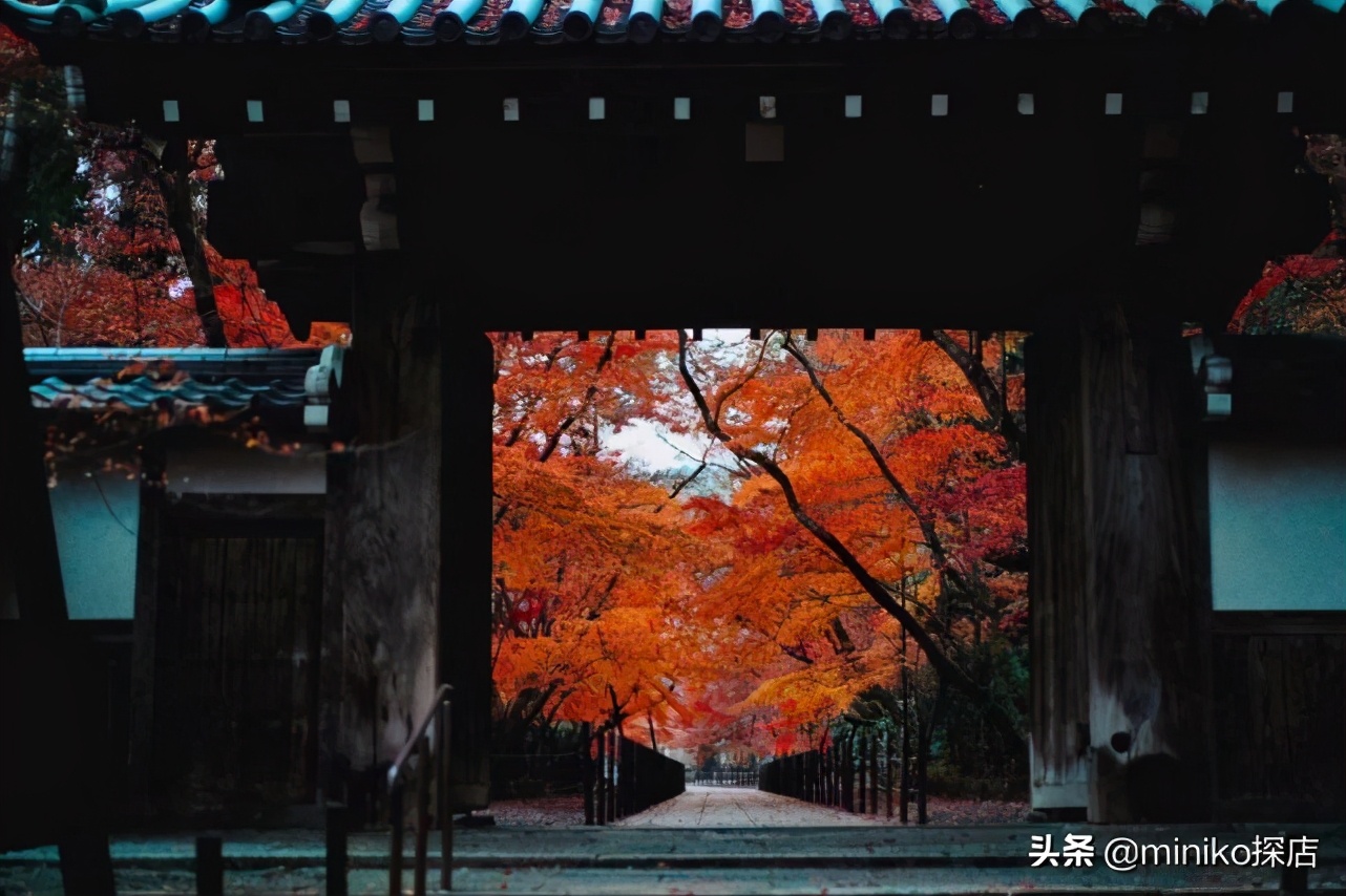 日本关西五天四晚旅游,日本关西6天5夜