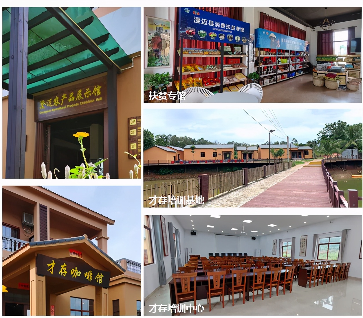 清华和文旅助力乡村振兴,清华同衡乡土景观