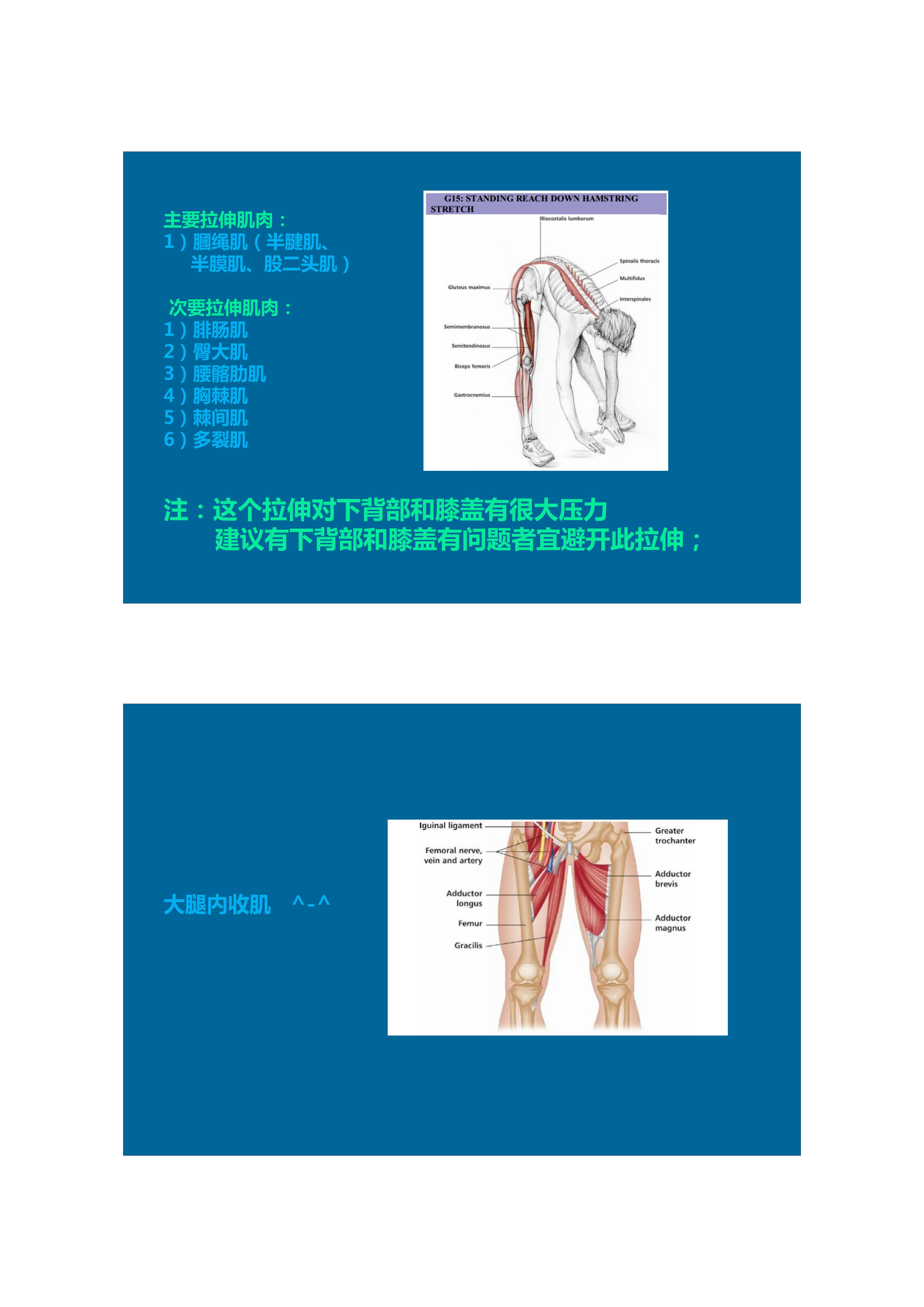 1分钟拉伸动作视频,拉伸腿部技巧