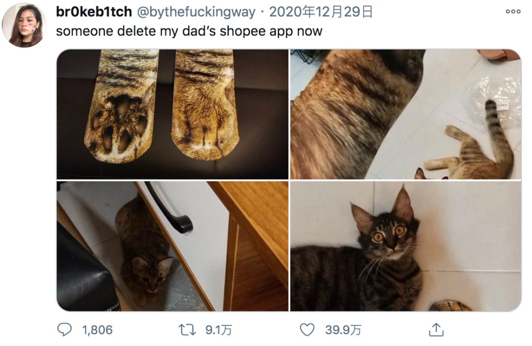 这位老爸是资深猫奴，买了双猫爪袜子跟猫咪显摆，把它们吓坏了