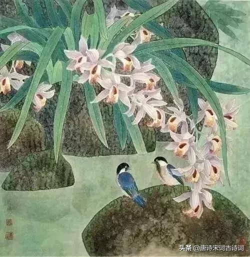 古人幽默古诗,趣味古诗跟读