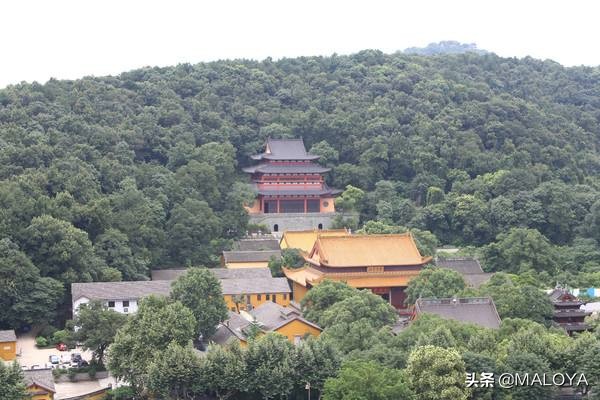 杭州灵隐寺1700年菩提树开花,杭州灵隐寺旅游全攻略
