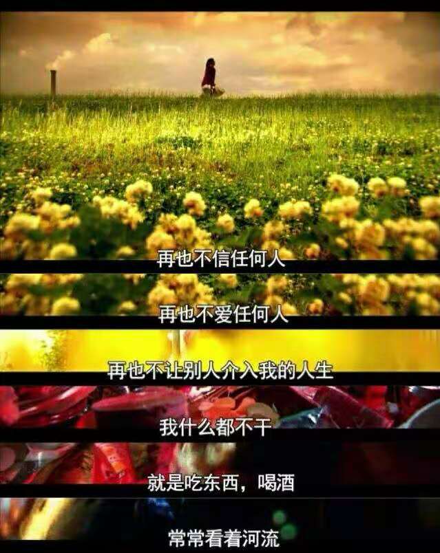 被嫌弃的松子的一生唯有爱自己,被嫌弃的松子的一生是因为缺爱吗