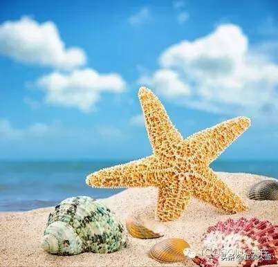 马来西亚大使馆旅游安全提示,马来西亚安全预警提示