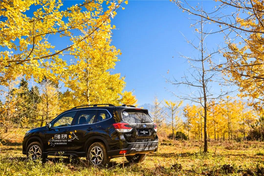 实用性超高的suv斯巴鲁森林人,森林人suv什么性能