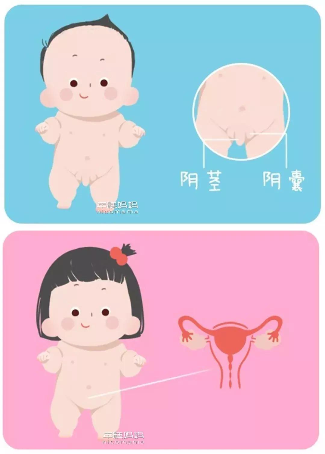 性教育的根本任务是什么,性教育要具体到什么程度