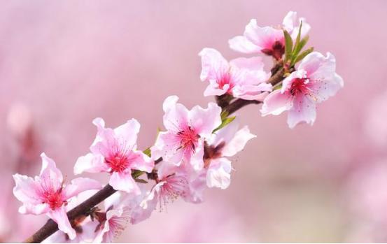 原来灰色系的穿搭也很耐看,深灰色衣服如何穿出减龄感