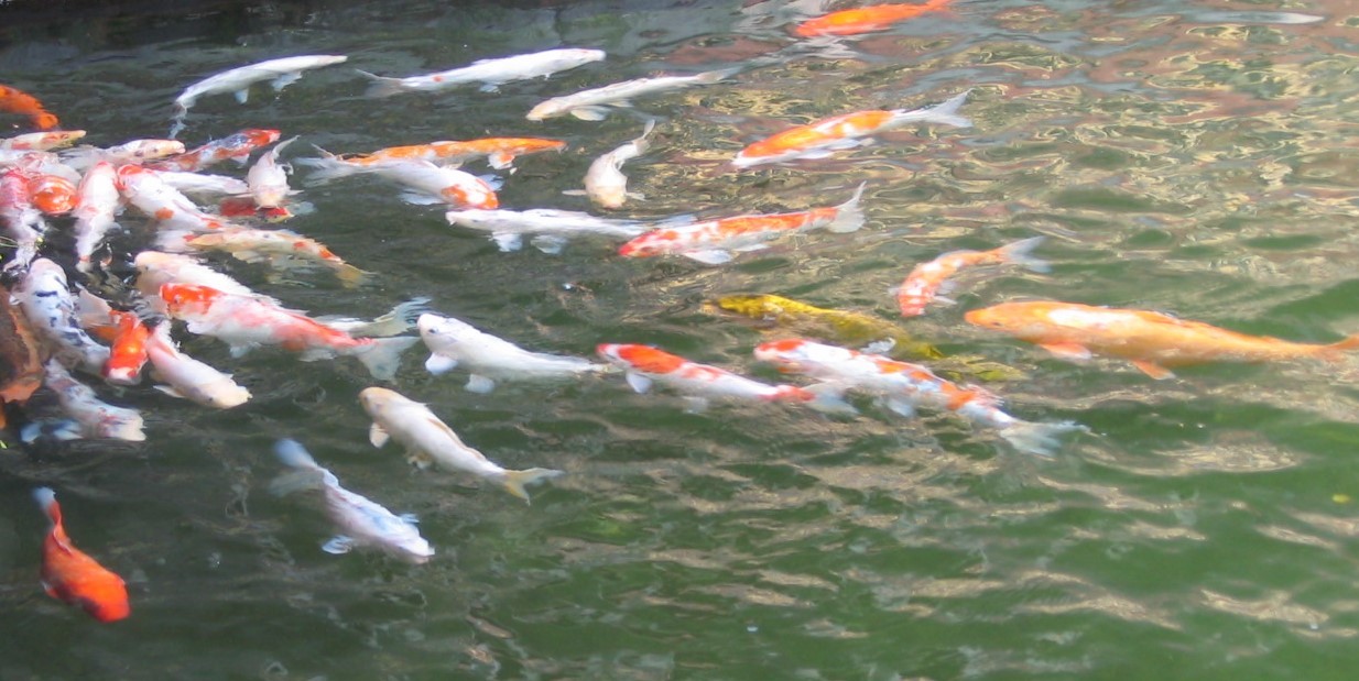 秋雨淅沥唤醒春情荡漾--我的千里求婚+万里成亲