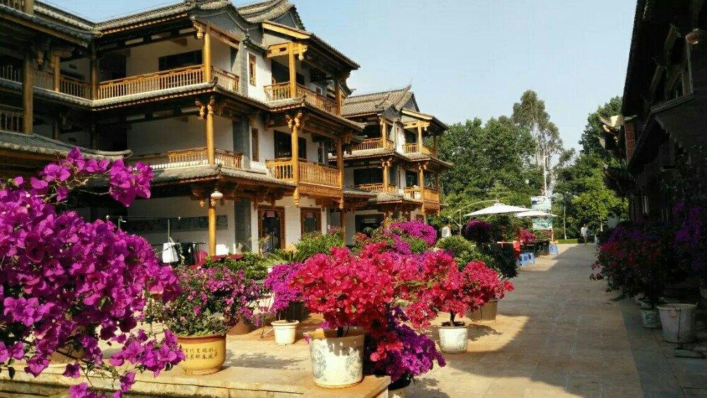 昆明市a级旅游景区有哪些,昆明旅游4a级景区有哪些