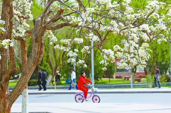 库尔勒石油基地,库尔勒建石油城