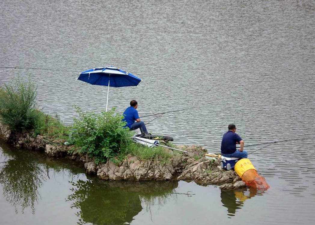 野钓都没口是怎么回事,野钓没口了