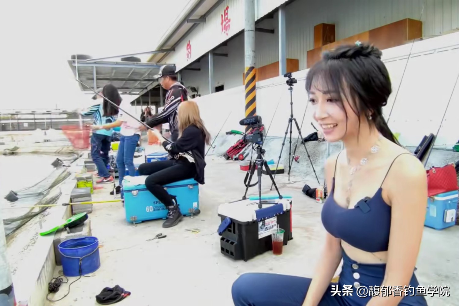 新手钓鱼鲫鱼入门教学视频,钓鱼新手入门视频教程动画