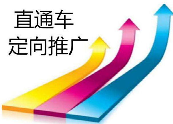 淘宝怎么把智能推广导入标准推广,淘宝新店怎么运营及怎么推广引流