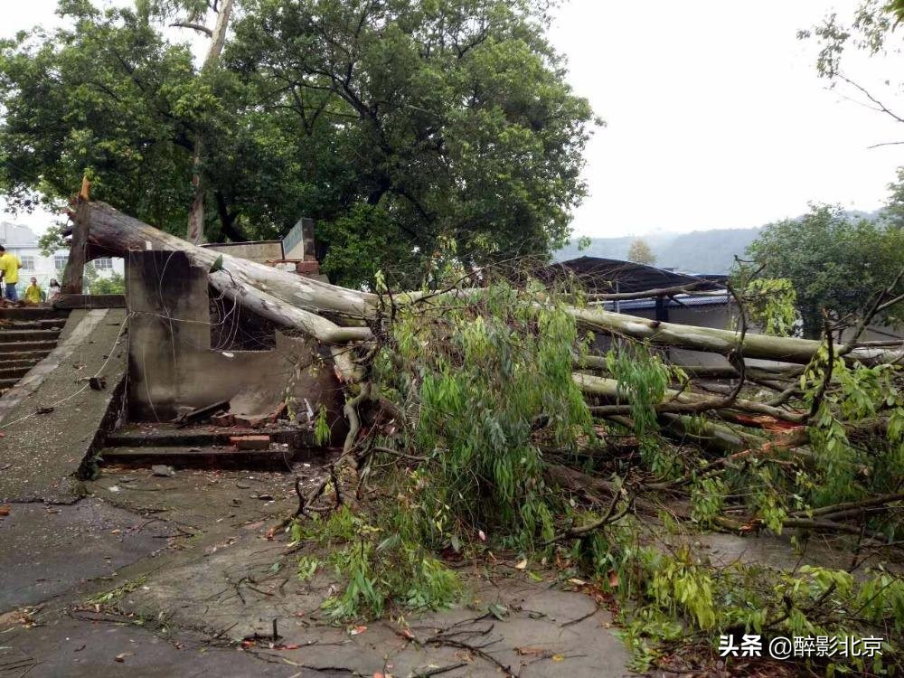 盘点北京城的罕见天象，最怪异的莫过于“天上下钱”