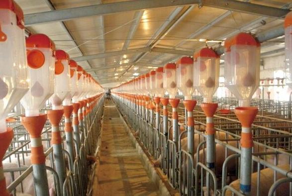 兽医专业可以从事什么行业呢,大学毕业兽医工作具体都做些什么