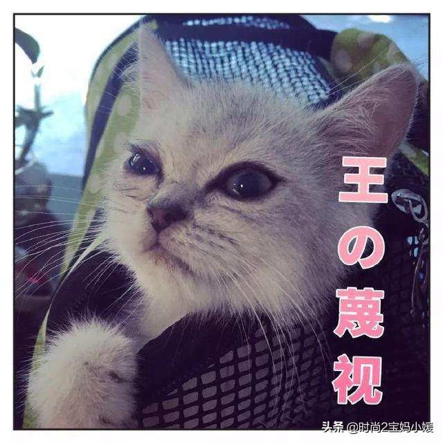 长痘并不可怕拯救痘痘肌,长痘痘了不要怕教你轻松一招解决