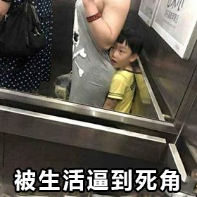 早上好真实会动的动态表情包,当代年轻人的真实现状表情包