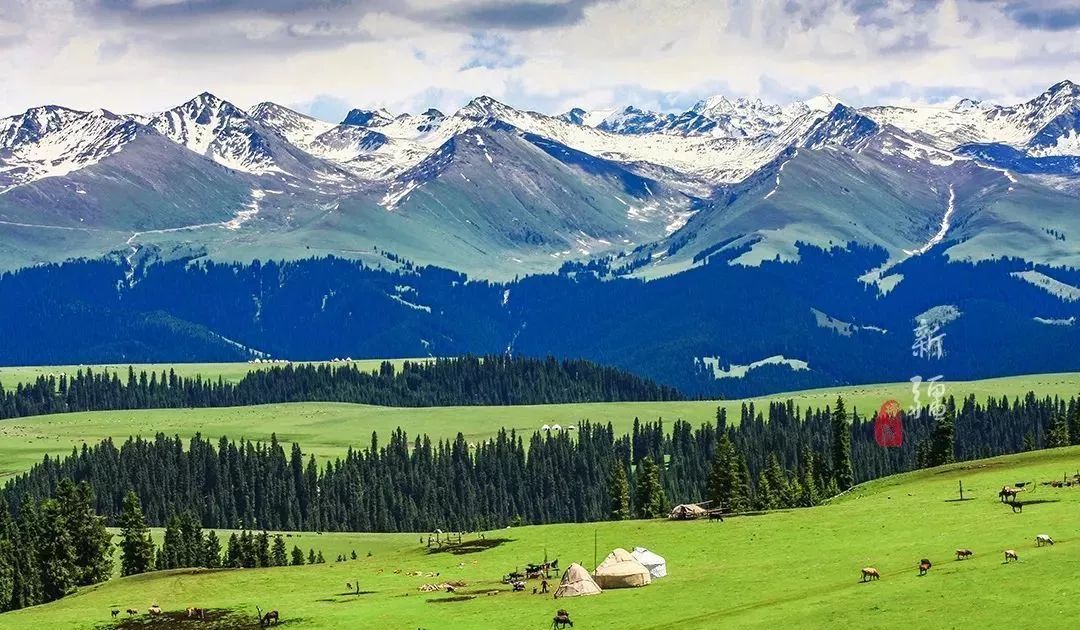 在*疆新**,谁才是“果界一哥”?