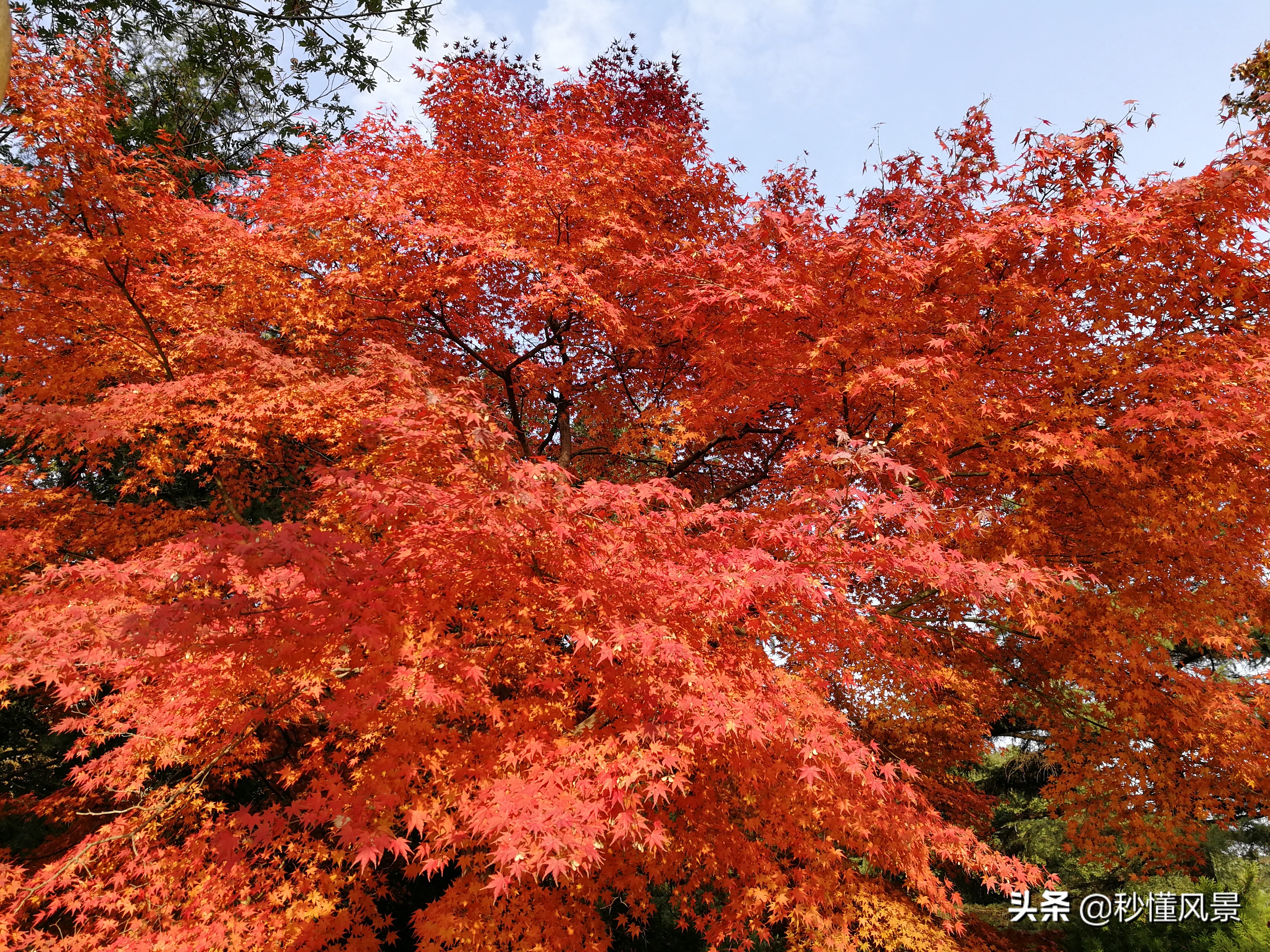 深秋武汉夜晚美景,秋日里的武汉