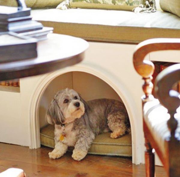 打雷怎么安慰狗狗,打雷狗狗害怕躲起来