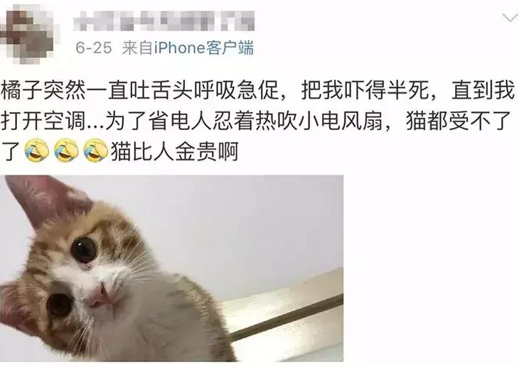 福懋动物医院厦门,福懋宠物医疗中心解放桥分院