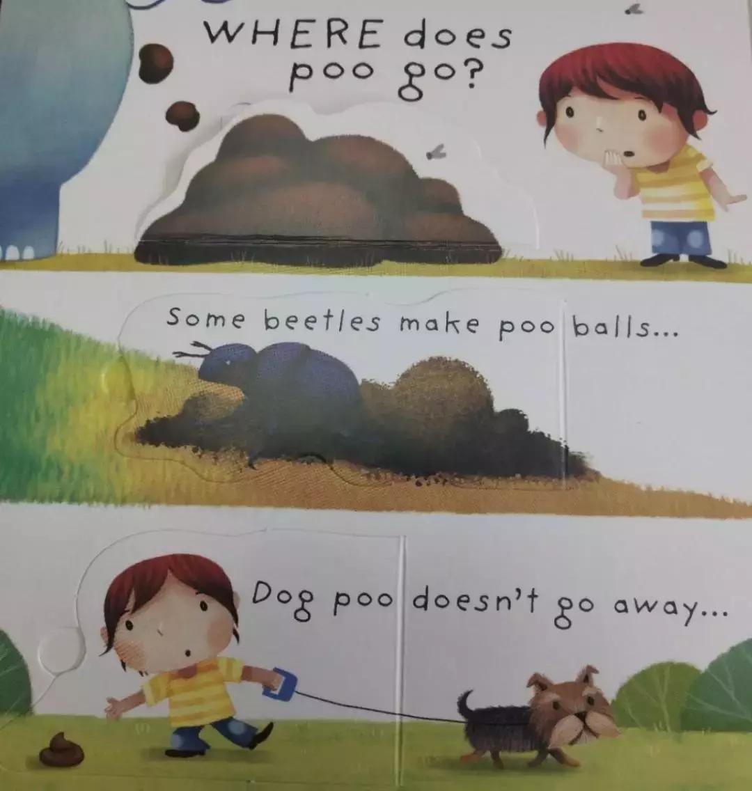 孩子感兴趣的永远是屎尿屁绘本,屎尿屁绘本好吗