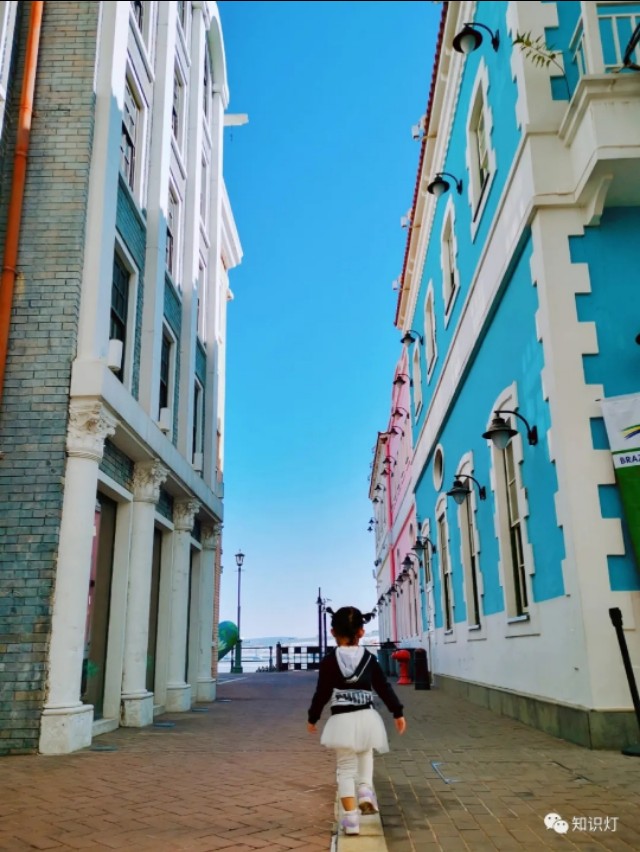 赌城简介,走进赌徒的内心世界