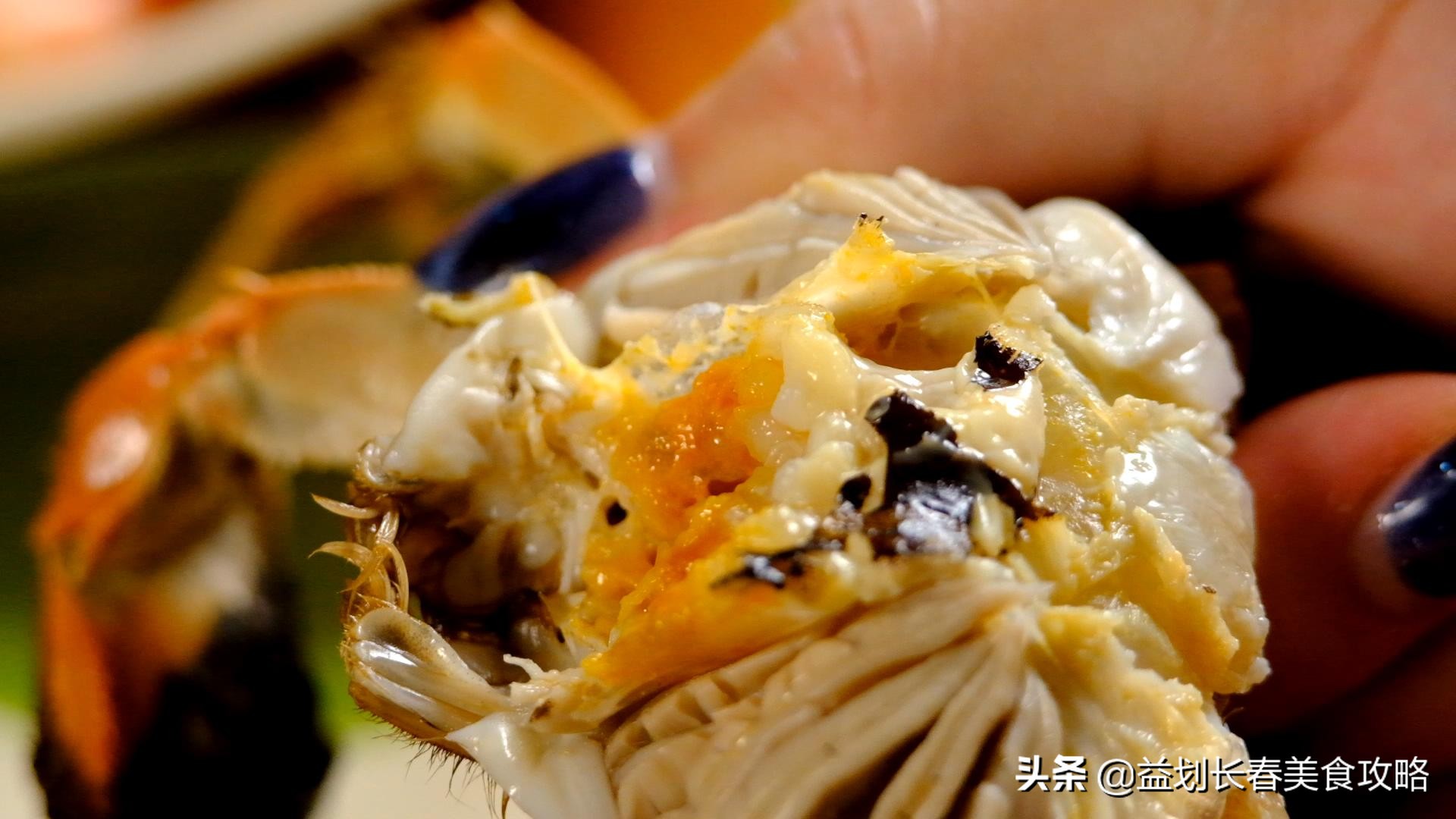 北京海鲜自助梭子蟹,海鲜自助的活梭子蟹