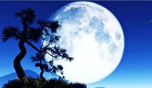 海上明月共潮生诗词,海上生明月诗词全文