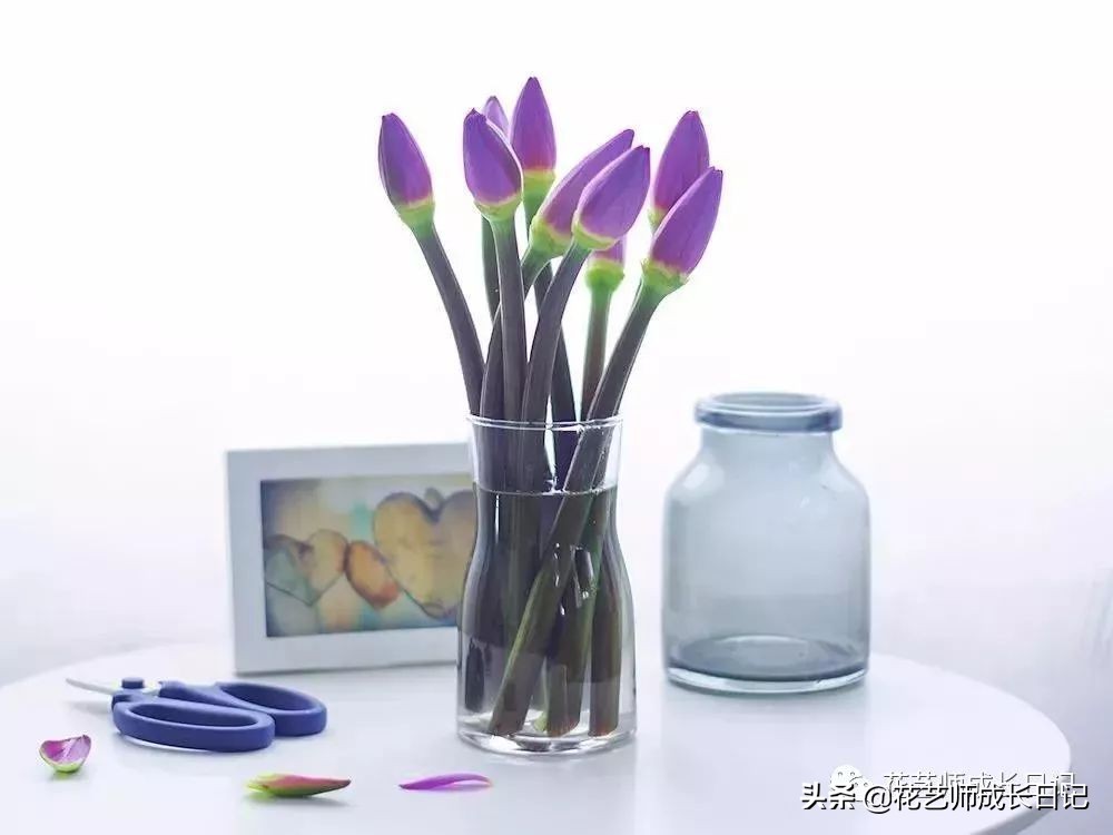 花店护理花小技巧,花店花材养护及资料整理