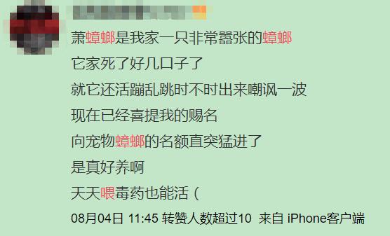南方蟑螂和北方蟑螂对比恶搞,南方大蟑螂吓哭北方人