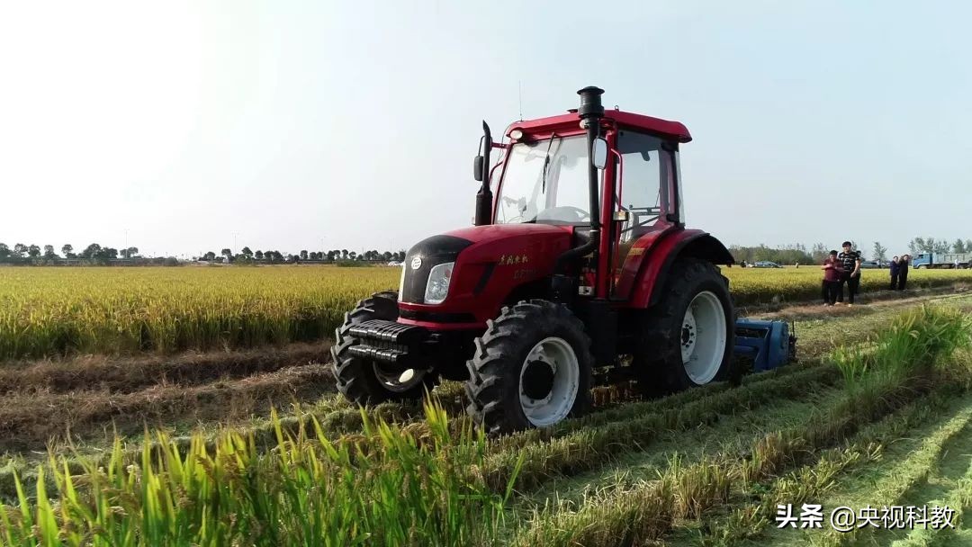 智能车最新消息,智能车是不是到来了