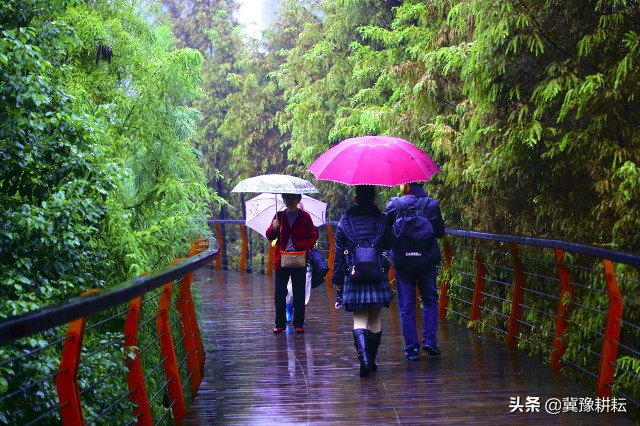 七月初七下雨是什么原因,处暑下雨万人愁俗语