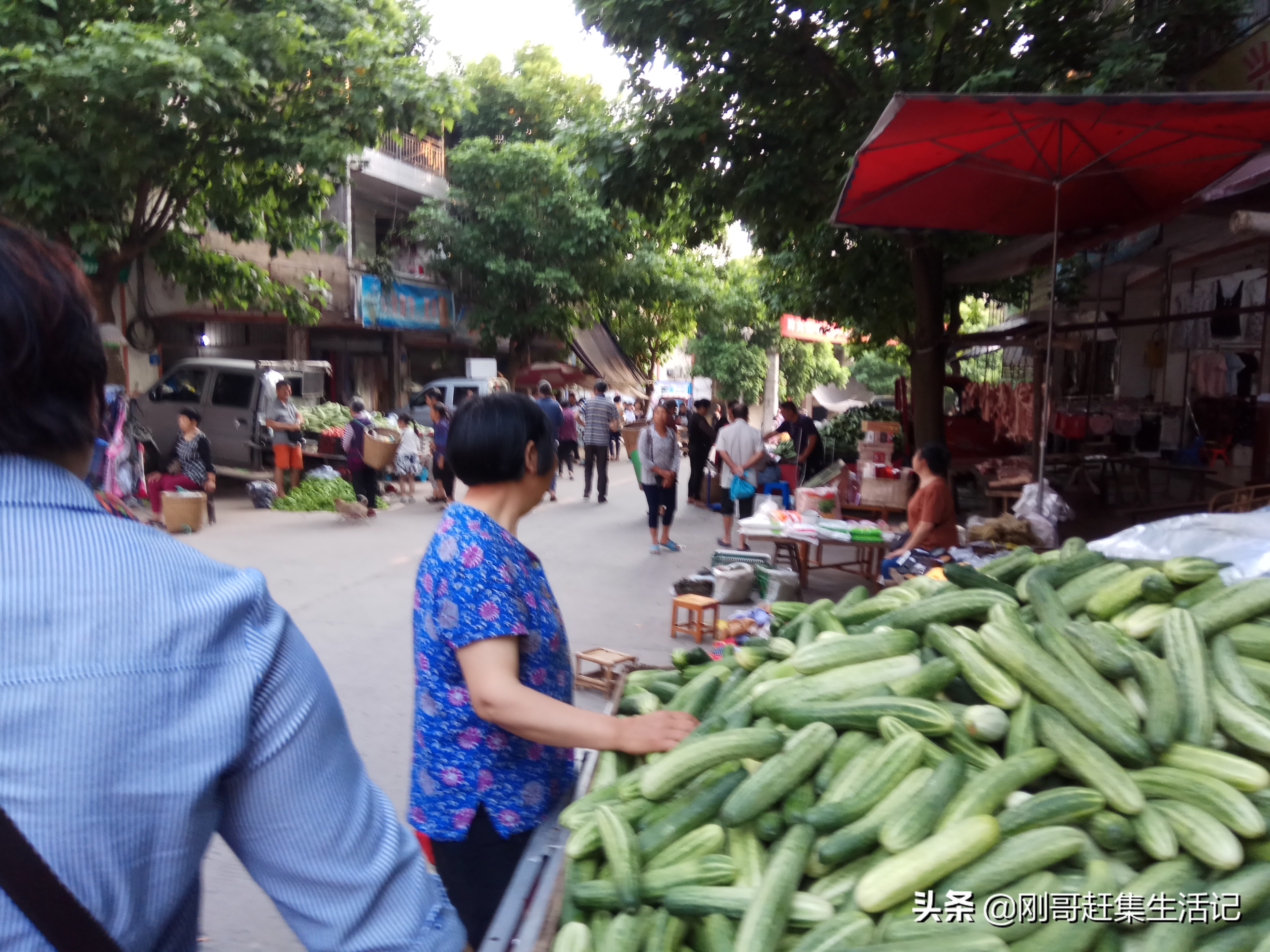 个人蔬菜配送怎样做,卖蔬菜送货上门用什么方法好