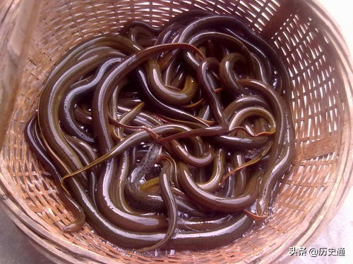 传奇故事老人为救小孩被杀,故事老人讹人整得他全家家破人亡