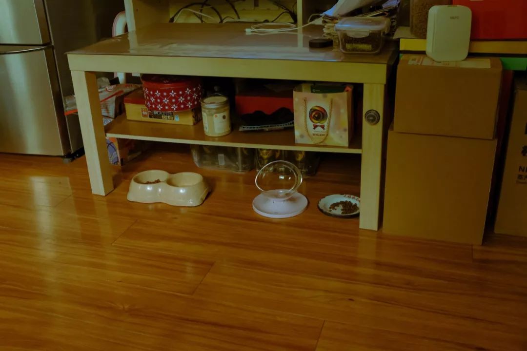 我和男朋友一起上班,我和男朋友在同一家公司实习