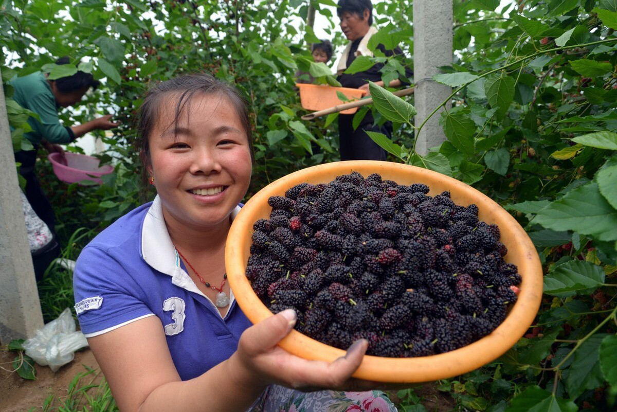 这4种水果多吃多汁营养,冬季多吃这些应季水果