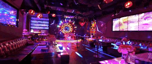 炸裂!因为一只猫,苏州人开启尖叫模式!