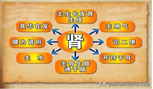 过敏性鼻炎春天严重因为花粉多吗,肾虚型过敏性鼻炎怎么治疗呢